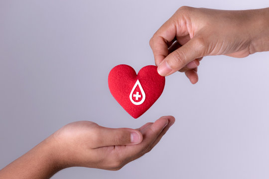 blood donation phone number